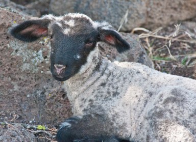 Maralee_Park_Day132_00004