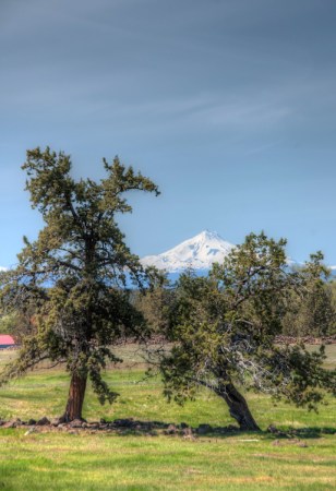 Maralee_Park_Day132_00005