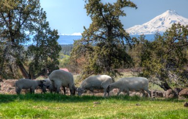 Maralee_Park_Day132_00007