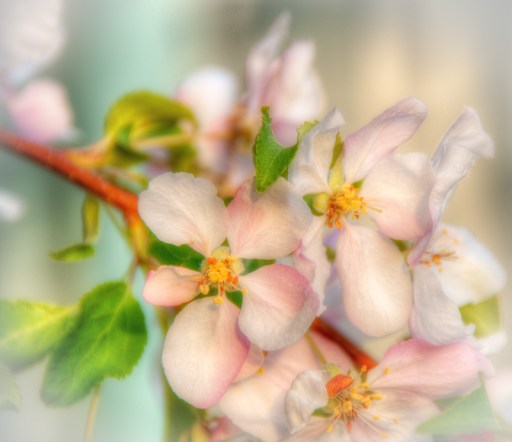 Maralee_Park_Day134_00001