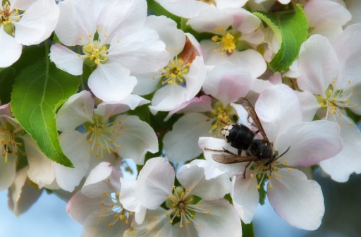 Maralee_Park_Day134_00002