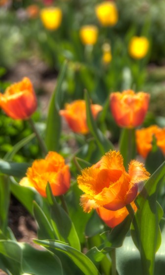 Maralee_Park_Day135_00001