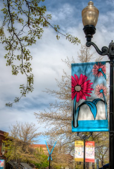 Maralee_Park_Day135_00004