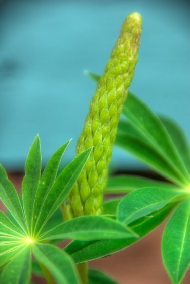 Maralee_Park_Day137_00001 Maralee_Park_Day137_00001