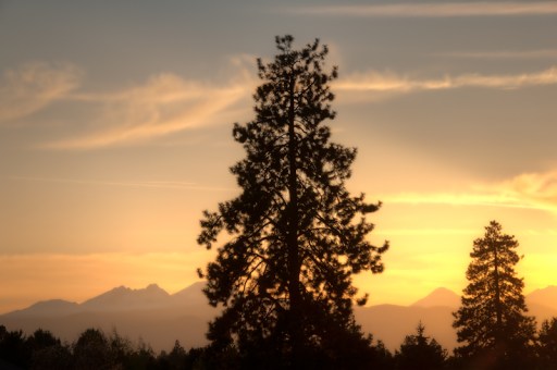 Maralee_Park_Day137_00003 Maralee_Park_Day137_00003