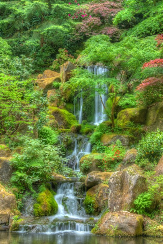 Maralee_Park_Day139_00008 Maralee_Park_Day139_00008