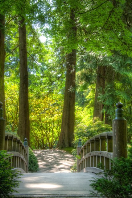 Maralee_Park_Day139_00014 Maralee_Park_Day139_00014