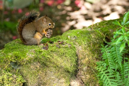 Maralee_Park_Day139_00017 Maralee_Park_Day139_00013