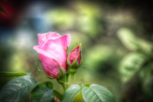 Maralee_Park_Day140_00002