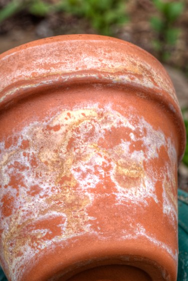 Maralee_Park_Day141_00001 Maralee_Park_Day141_00001