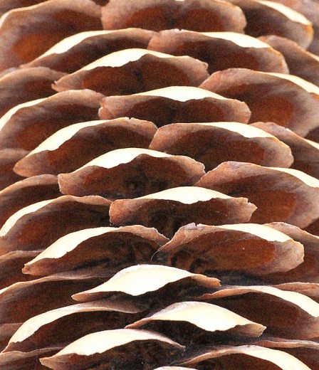 Maralee_Park_Day141_00002 Maralee_Park_Day141_00002