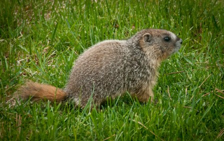 Maralee_Park_Day142_00001 Maralee_Park_Day142_00001