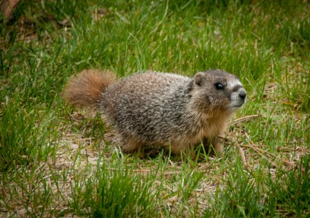 Maralee_Park_Day142_00002 Maralee_Park_Day142_00002