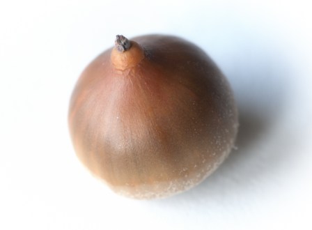 Maralee_Park_Day143_00001