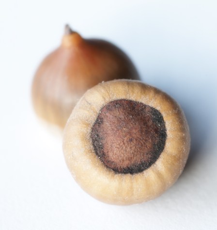 Maralee_Park_Day143_00002