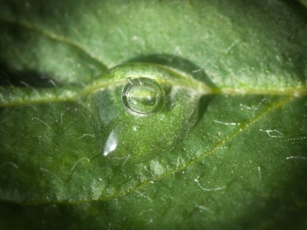 Maralee_Park_Day143_00003