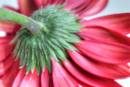 Maralee_Park_Day145_00006