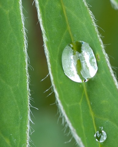 Maralee_Park_Day146_00001