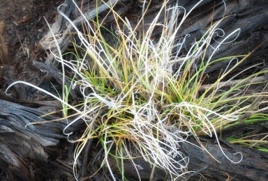 Maralee_Park_Day146_00002