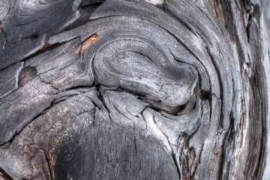 Maralee_Park_Day146_00004