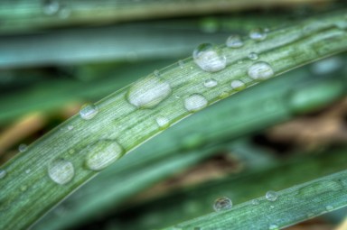 Maralee_Park_Day146_00005