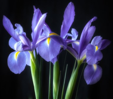 Maralee_Park_Day147_00001 Maralee_Park_Day147_00001