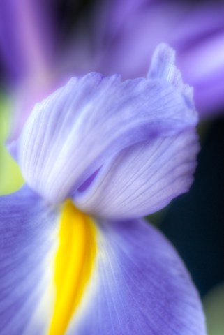 Maralee_Park_Day147_00002 Maralee_Park_Day147_00002