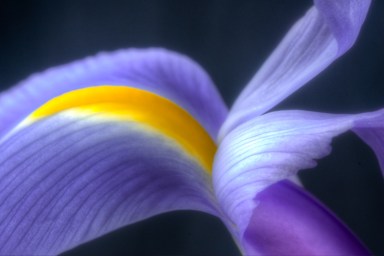 Maralee_Park_Day147_00004 Maralee_Park_Day147_00004