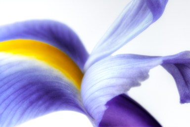 Maralee_Park_Day147_00005 Maralee_Park_Day147_00005