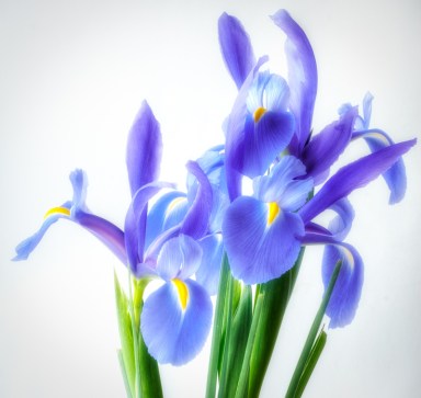 Maralee_Park_Day147a_00001 Maralee_Park_Day147a_00001