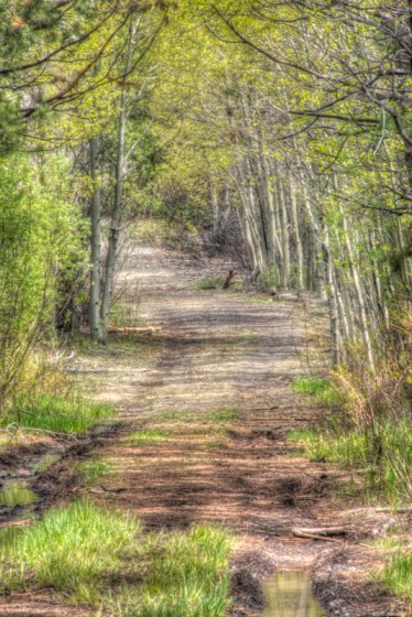 Maralee_Park_Day149_00006