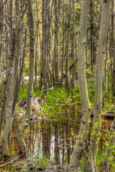 Maralee_Park_Day149_00007