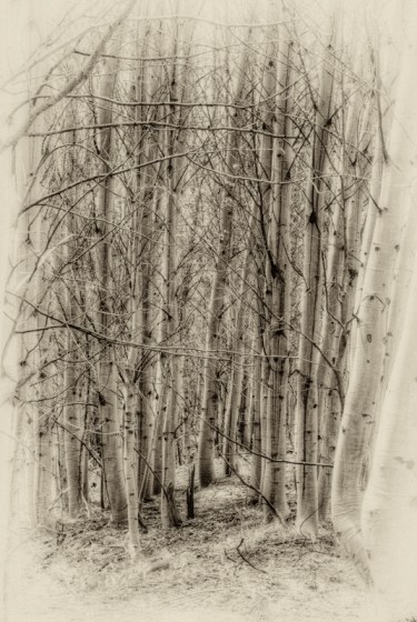 Maralee_Park_Day149_00008