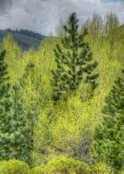 Maralee_Park_Day149_00010