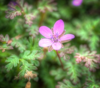 Maralee_Park_Day151_00001