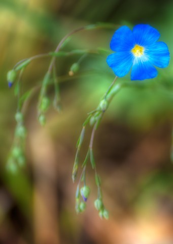 Maralee_Park_Day151_00003