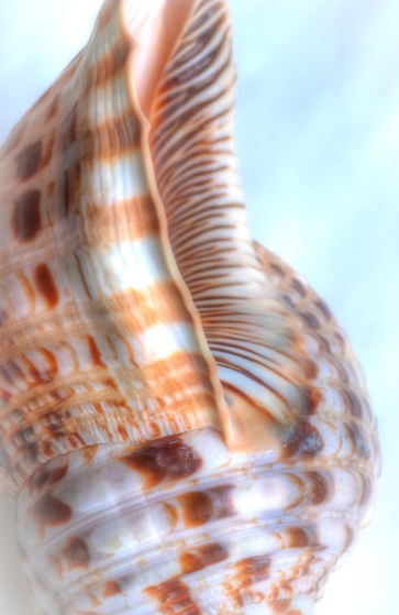 Maralee_Park_Day152_00001