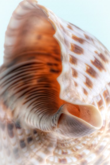 Maralee_Park_Day152_00003