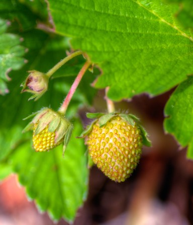 Maralee_Park_Day 168_00001