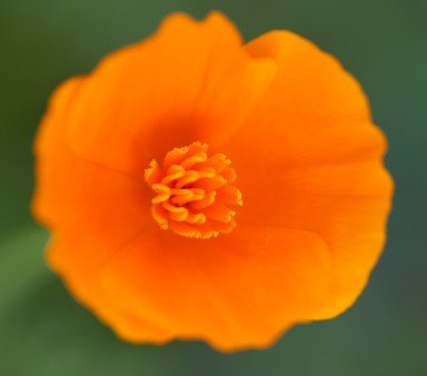 Maralee_Park_Day 168_00003