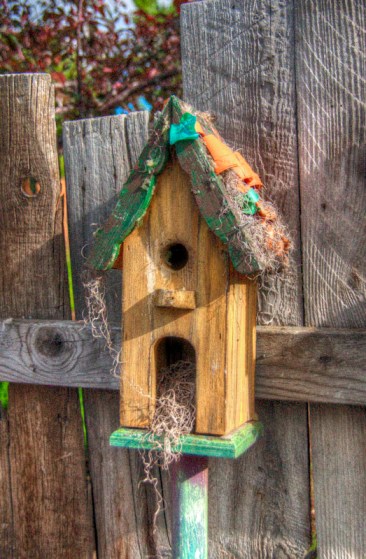 Maralee_Park_Day 170_00006