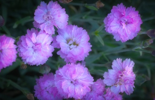 Maralee_Park_Day 171_00004