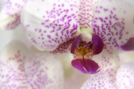 Maralee_Park_Day 173_00001