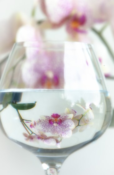 Maralee_Park_Day 173_00004