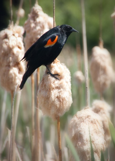 Maralee_Park_Day 175_00002 Maralee_Park_Day 175_00002