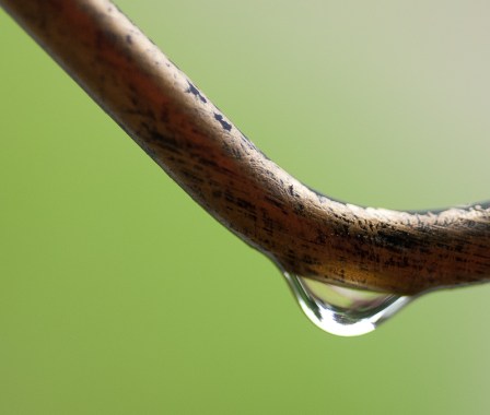 Maralee_Park_Day 175_00006 Maralee_Park_Day 175_00006