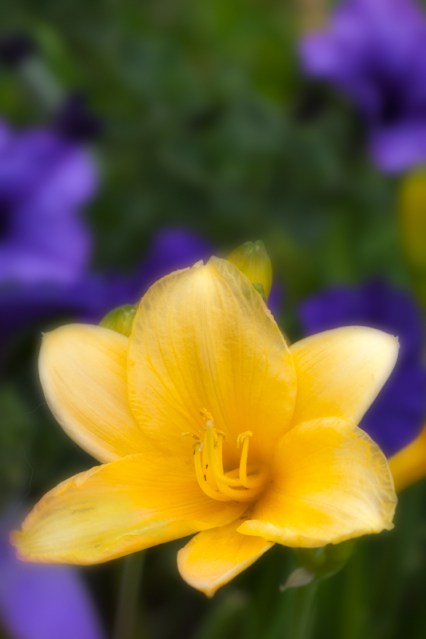 Maralee_Park_Day 177_00003