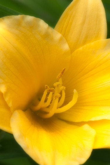 Maralee_Park_Day 177_00005