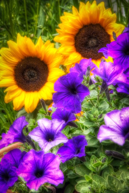 Maralee_Park_Day 180_00001