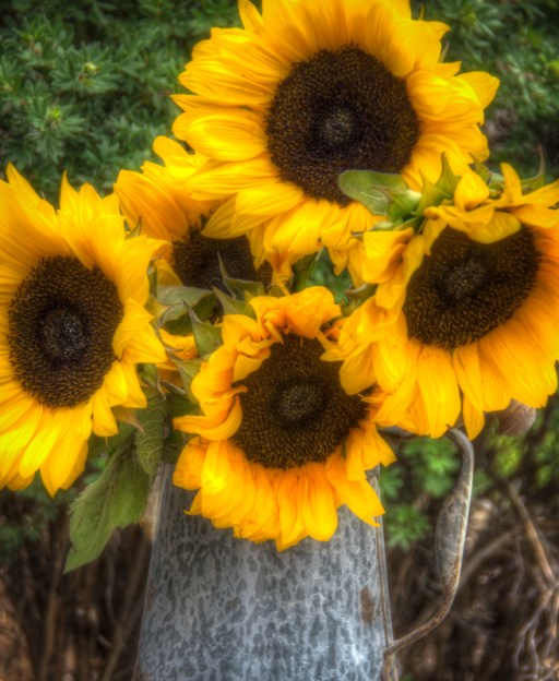 Maralee_Park_Day 180_00003